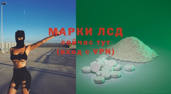 гашик Володарск