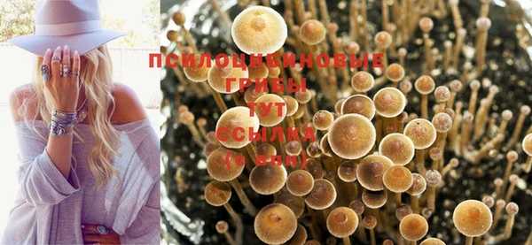 трава Волоколамск