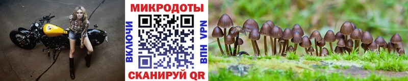 Галлюциногенные грибы мицелий  Невьянск 